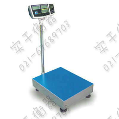計數(shù)電子臺秤