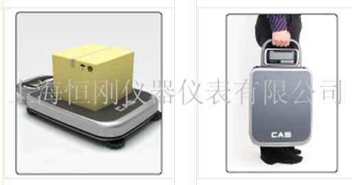 tcs電子臺(tái)秤